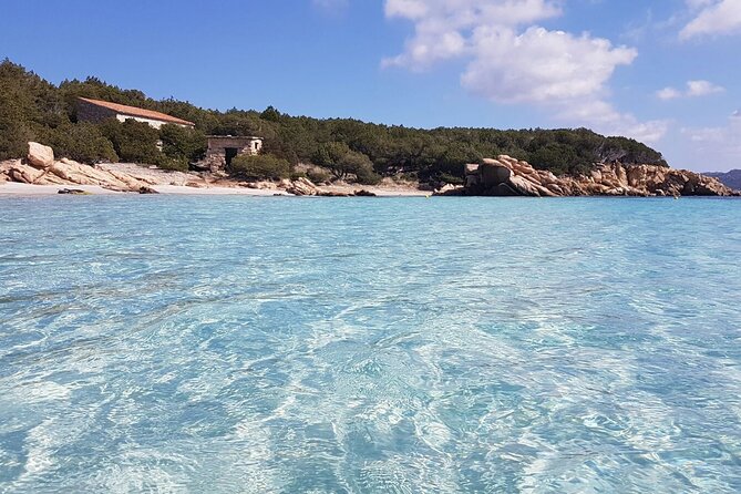 3-Catamaran from Cannigione to the islands of the Archipelago - Razzoli and Santa Maria in La Maddalena National Park