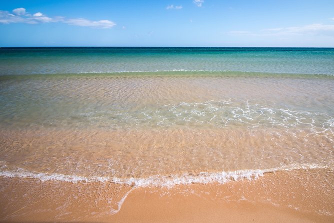 4x4 Mountains And Beaches - Chia area - Pink flamingos: the moment you get, and why it is quick