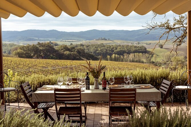 A Brunello Cooking Class with Vineyards View Winery - Chefs and guides: small-group attention you can feel