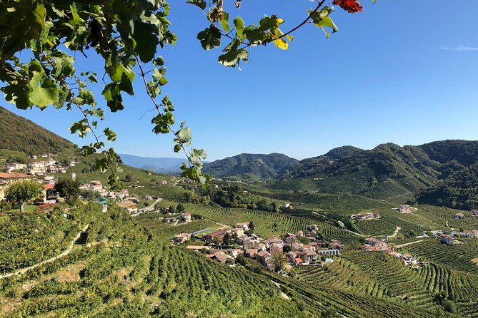A Sparkling Day in the Prosecco Hills from Venice - Prosecco Hills Viewpoint Pause: World Heritage Views and Optional Stops