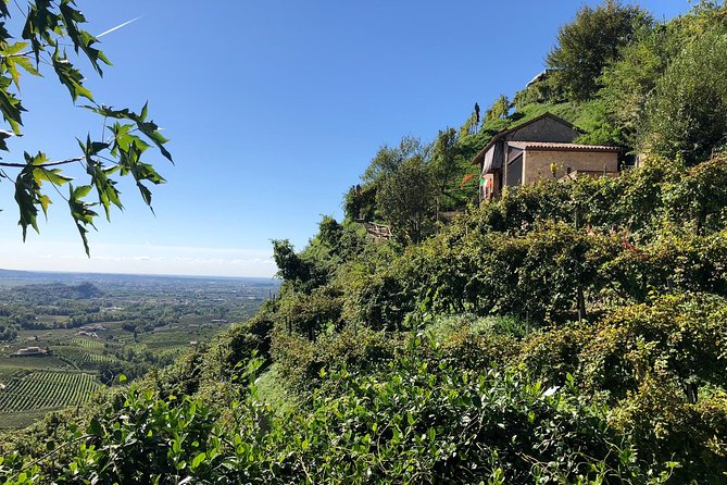 A Sparkling Day in the Prosecco Hills from Venice - Small-Group Energy, Private Vehicle Comfort, and Real Local Guides