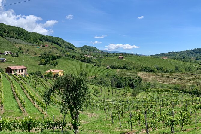 A Sparkling Day in the Prosecco Hills from Venice - Practical Tips for a Smooth Day in the Prosecco Hills