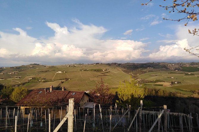Abellonio Cascina Piccaluga - visit to the vineyards, to the wine tasting cellar - Quick hits from the vineyard walk and cellar tasting