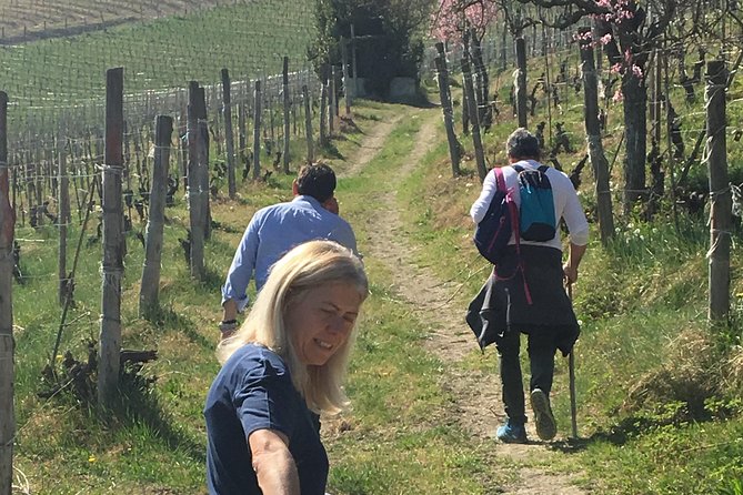 Abellonio Cascina Piccaluga - visit to the vineyards, to the wine tasting cellar - Tasting 5 wines with meats, cheeses, and toasted hazelnuts