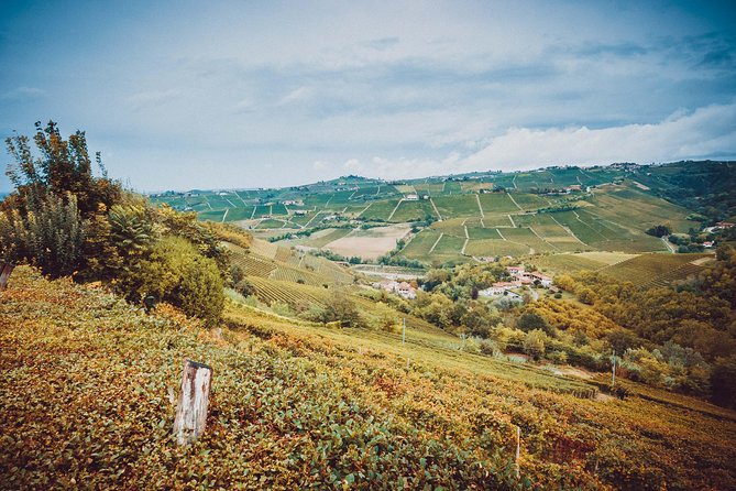 Abellonio Cascina Piccaluga - visit to the vineyards, to the wine tasting cellar - Who should book this vineyard and wine tasting