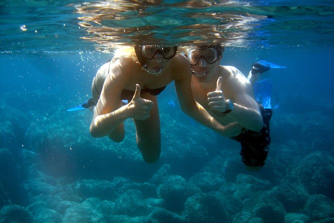 Alghero - Dolphin Watching and Guided Snorkeling (summer tour) - Boat rules that protect dolphins, not just photo ops