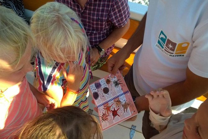 Alghero - Dolphin Watching and Guided Snorkeling (summer tour) - How the guided snorkeling works for beginners