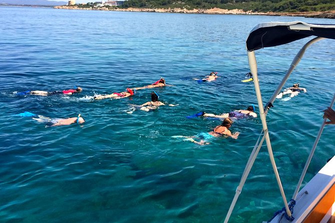 Alghero - Dolphin Watching and Guided Snorkeling (summer tour) - Timing, group size, and how to make the most of the day