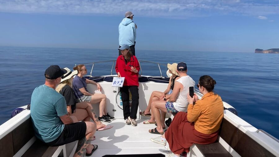 Alghero: Dolphin Watching Tour with Marine Researcher - What HQWW® actually means when you are on the water