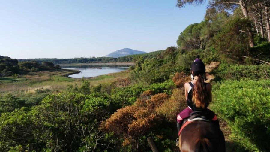 Alghero: Guided Horseback Ride at Lake Baratz & Porto Ferro - Who this ride suits best (and who should skip it)