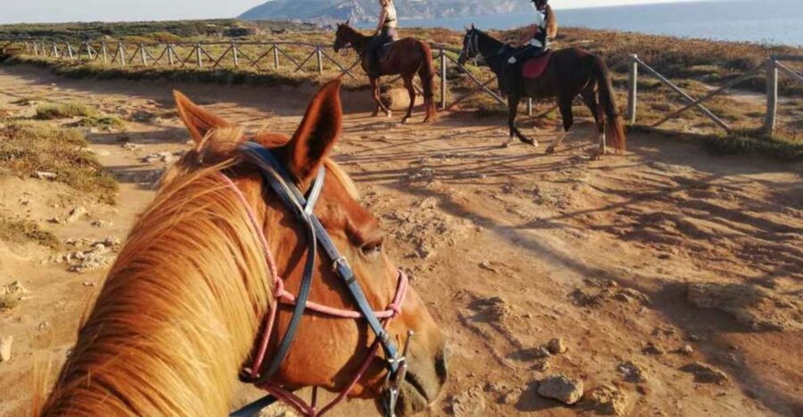 Alghero: Guided Horseback Ride at Lake Baratz & Porto Ferro - Two hours, real outdoors: what the ride actually feels like