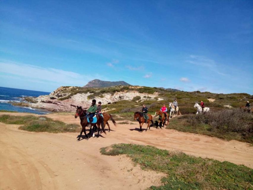Alghero: Guided Horseback Ride at Lake Baratz & Porto Ferro - From pine paths to Porto Ferro dunes: the route that changes your view