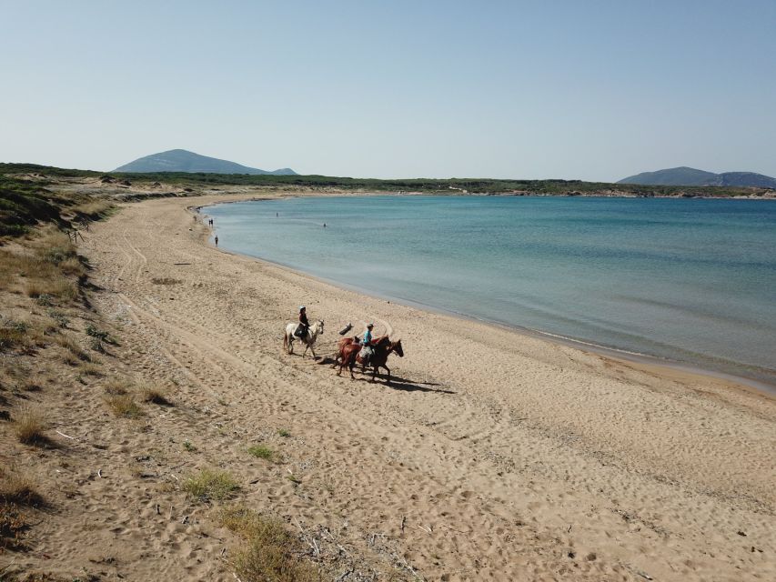 Alghero: Guided Horseback Ride at Lake Baratz & Porto Ferro - Porto Ferro Beach and the Riviera del Corallo: dunes meet sea history