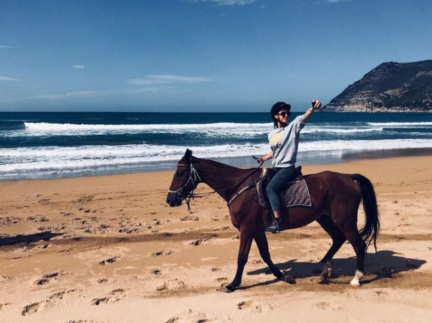 Alghero: Guided Horseback Ride at Lake Baratz & Porto Ferro - Price and value: what $98 gets you and what it does not