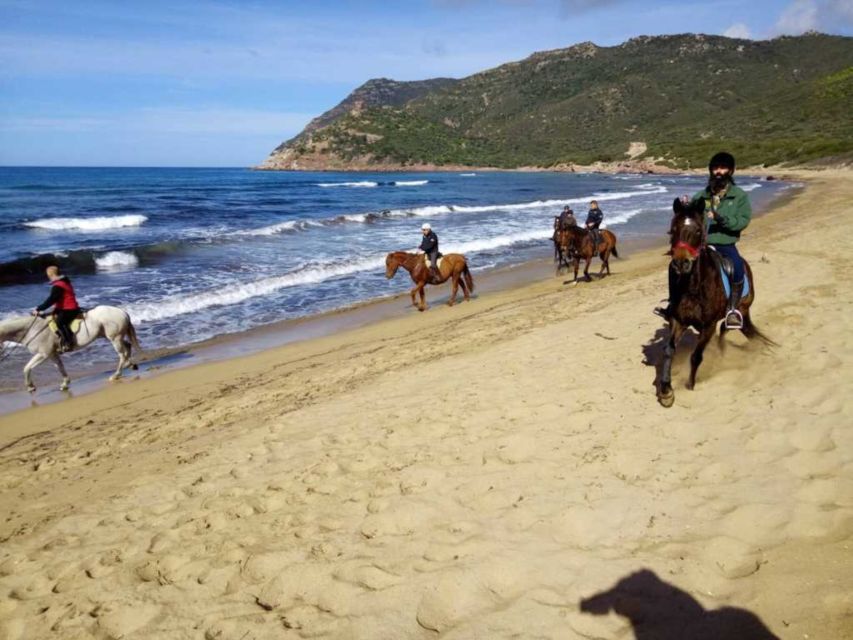 Alghero: Guided Horseback Ride at Lake Baratz & Porto Ferro - Meet your horse and get set up safely (equipment is provided)
