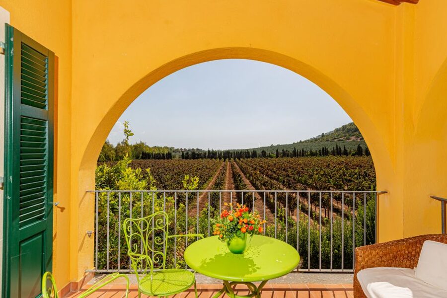 Alghero: Wine and Olive Oil Tasting at a Local Farm - Key highlights to look for
