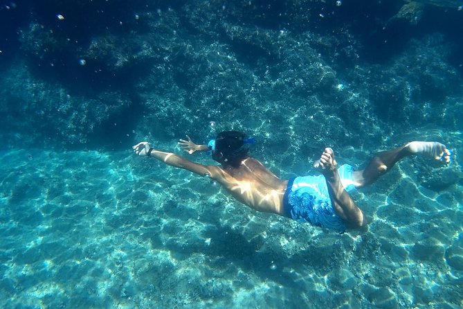 Amalfi Coast Kayak Tours from Marina del Cantone - Key highlights you should care about