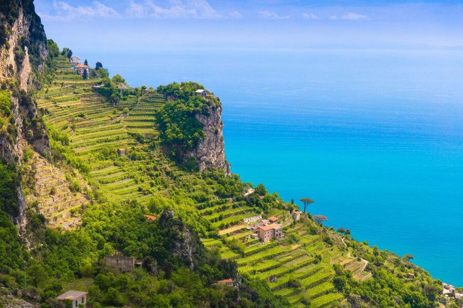 Amalfi: Cooking Class and Farmhouse Visit With Meal - The Meal Part: wine, limoncello, and Neapolitan espresso with your own cooking