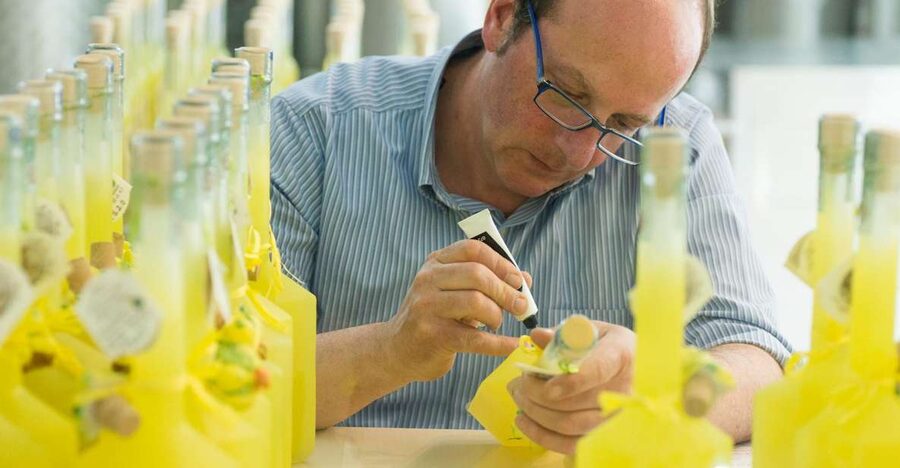 Amalfi: Vertical Lemon Farm Tour, Tastings, and Rural Museum - Organic Farm Tastings That Actually Make Sense
