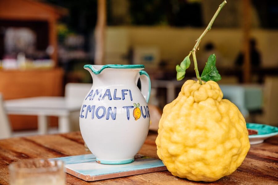 Amalfi: Vertical Lemon Farm Tour, Tastings, and Rural Museum - Who This Tour Fits Best