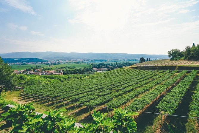 Amarone Wine-tasting Tour from Verona with Private Transportation - Why Valpolicella Amarone works so well from Verona