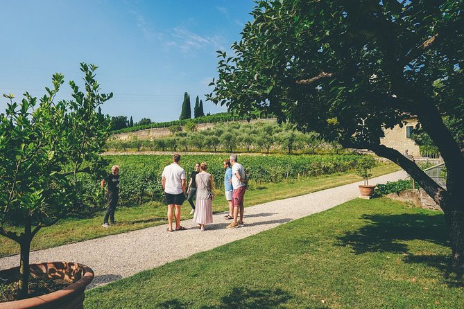 Amarone Wine-tasting Tour from Verona with Private Transportation - What you actually taste: Amarone, Ripasso, and pairings that make sense