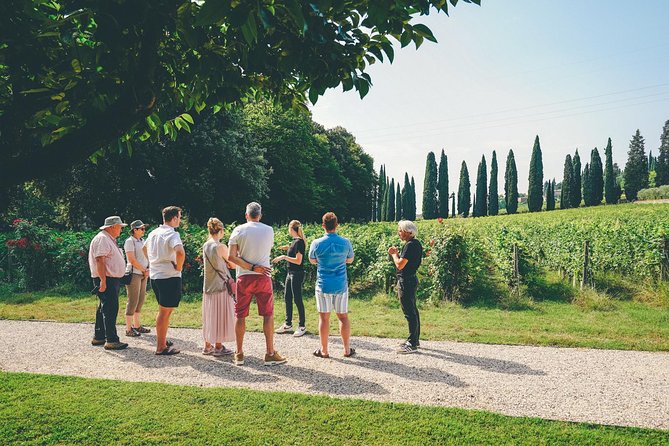 Amarone Wine-tasting Tour from Verona with Private Transportation - Comfort and transportation: private van, easy meeting, no hotel pickup needed