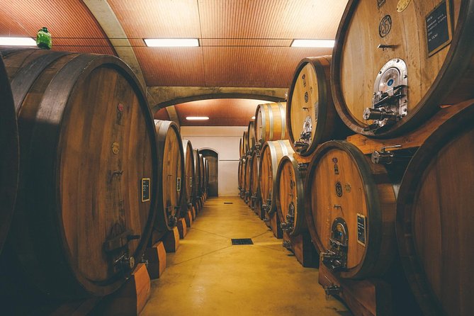 Amarone Wine-tasting Tour from Verona with Private Transportation - Photos, views, and how to plan your afternoon
