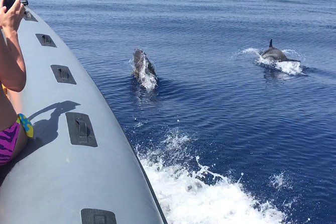 Amazing boat trip from Tropea to Capo Vaticano - 6 to 12 people - Capo Vaticano and Grotticelle: golden-sand snorkeling in two slices