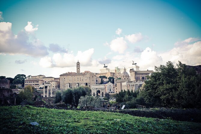 Ancient Rome Guided Walking Tour: Colosseum, Forum and Palatine - Palatine Hill First: Seven Hills Views and the Romulus-Romulus Story