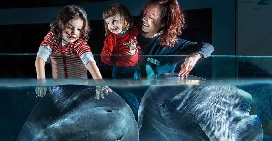 Aquarium of Cattolica Entry Ticket - The science side: 70 3D models recognized by universities