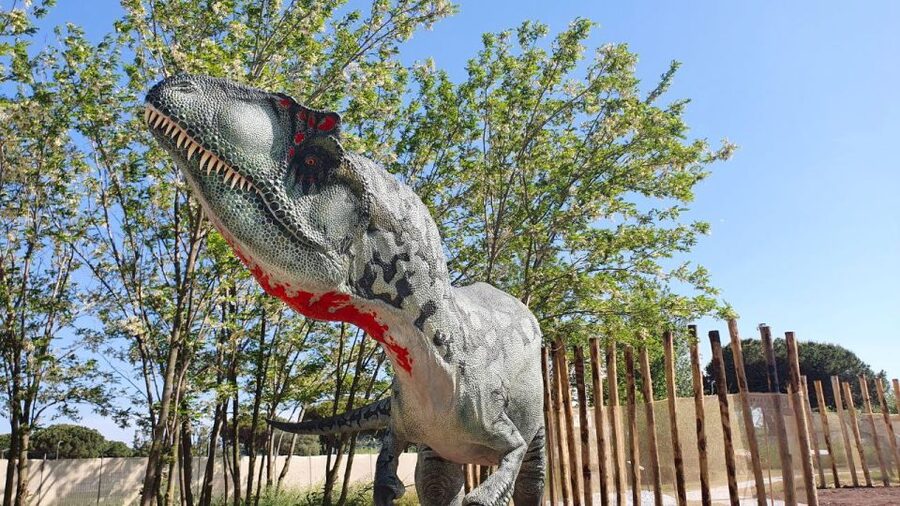Aquarium of Cattolica Entry Ticket - Price and value: is $25 a fair deal for a full day?