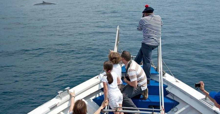 Aquarium of Genoa Ticket and Whale Watching Cruise - Key things I’d plan around