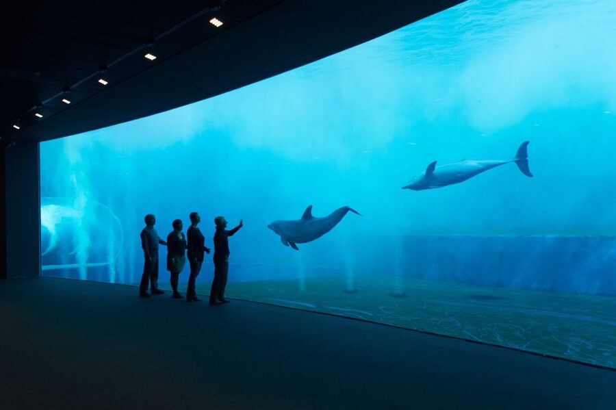 Aquarium of Genoa Ticket and Whale Watching Cruise - Acquario di Genova: 12,000 specimens, 600 species, real variety