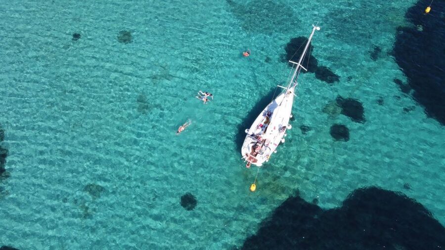 Asinara: Full Day Sailboat Excursion from Stintino - Price and value: how $107.85 stacks up for an 8-hour sea day