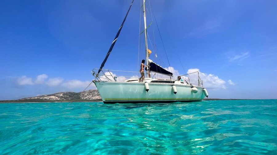 Asinara: Full Day Sailboat Excursion from Stintino - Asinara National Park by sail: why Stintino makes sense for this day