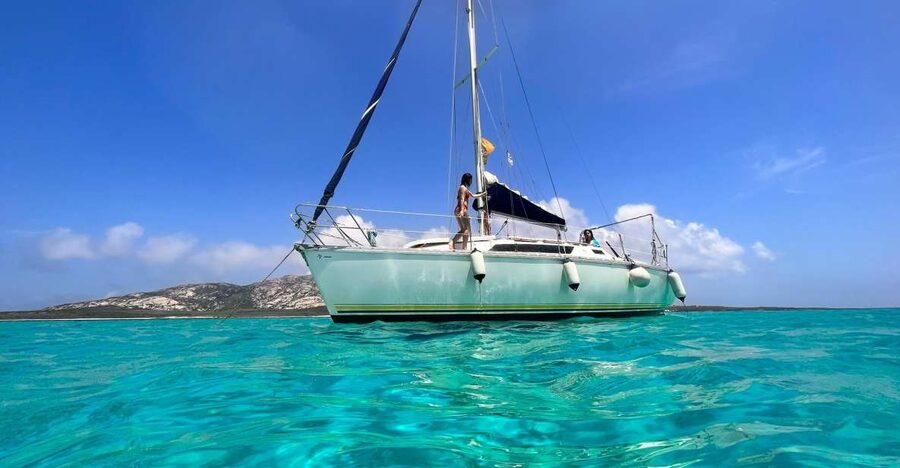 Asinara: Full Day Sailboat Excursion from Stintino - How the day unfolds: sailing breaks, swim moments, and anchored lunch time