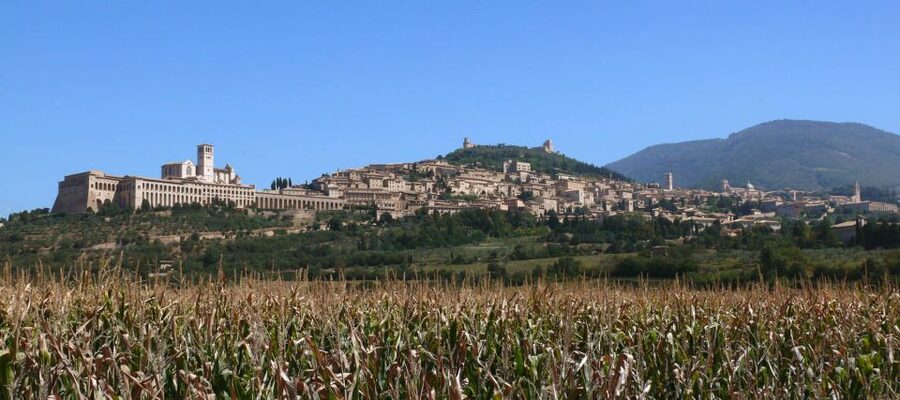 Assisi: Walking Tour with St. Francis Basilica Visit - Roman Amphitheater Ruins, Quarry History, and Rocca Maggiore Views