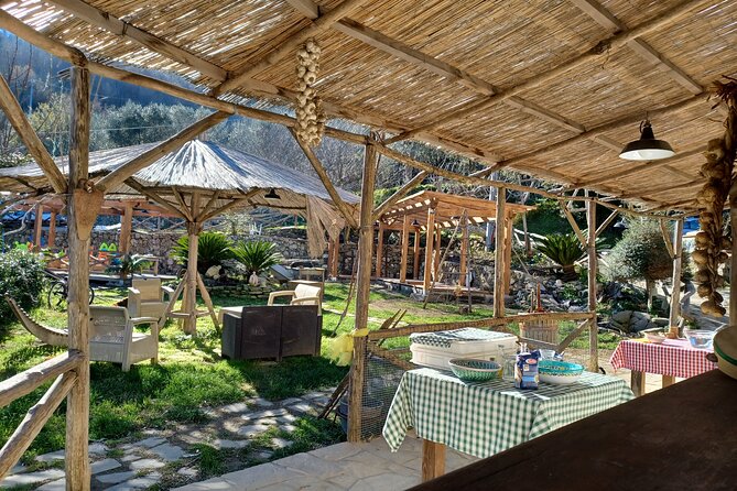 Authentic Farm Tour with Pizza, Cheese, Wine & Limoncello Tasting - From Sorrento Hills to Primaluce: The Setting and Vibe