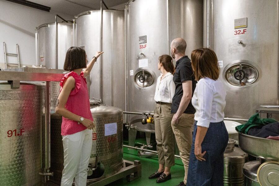 Bardolino: Lake Garda Oil Mill Tour with Olive Oil Tasting - Bardolino’s Olio Viola mill, right on Lake Garda