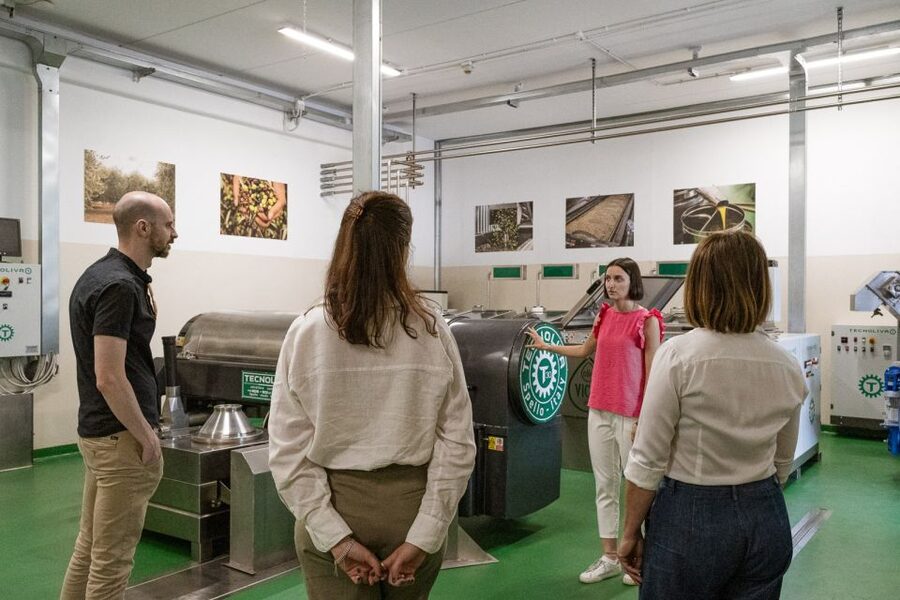 Bardolino: Lake Garda Oil Mill Tour with Olive Oil Tasting - Price check: is $31 worth it in Bardolino?