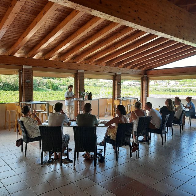 Bardolino: Vineyard Tour with Wine, Olive Oil & Food Tasting - Where Bardolino’s wine culture starts: La Rocca on the Rocca del Garda hillside
