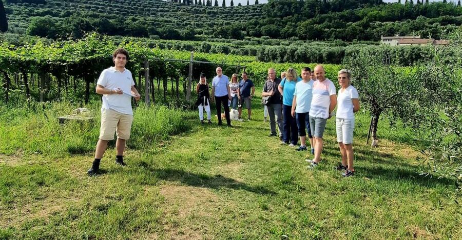 Bardolino: Vineyard Tour with Wine, Olive Oil & Food Tasting - The 2-hour rhythm: vineyard walk, terrace tasting, and time to buy