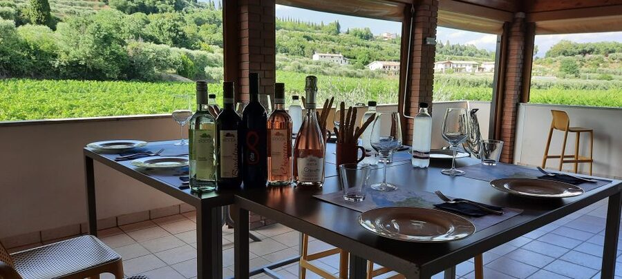 Bardolino: Vineyard Tour with Wine, Olive Oil & Food Tasting - Learning how wine is made from the vines, not from a brochure