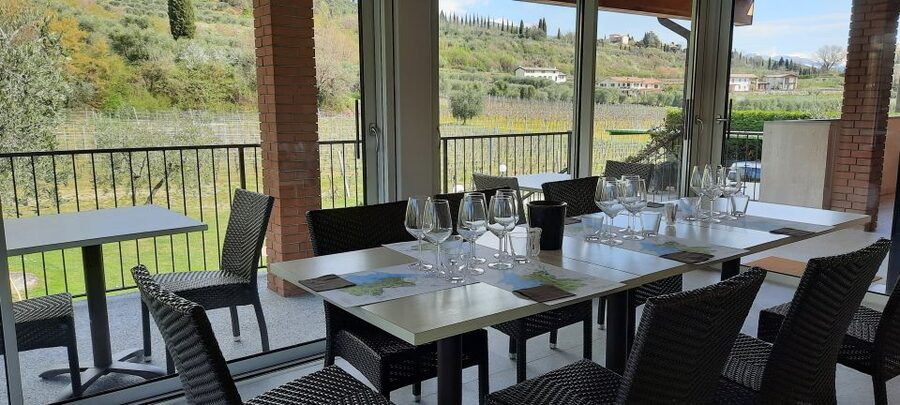 Bardolino: Vineyard Tour with Wine, Olive Oil & Food Tasting - Extra virgin olive oil tasting: why it deserves its own spotlight