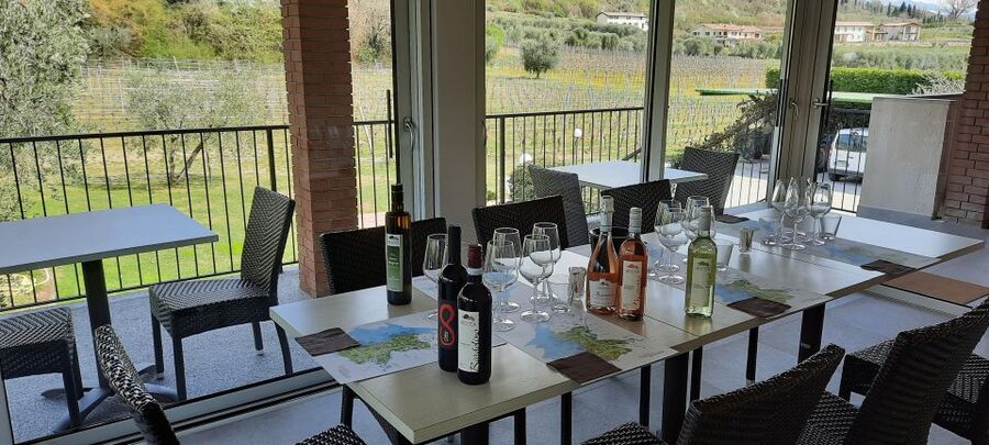 Bardolino: Vineyard Tour with Wine, Olive Oil & Food Tasting - Price and value at $42: what you’re really paying for