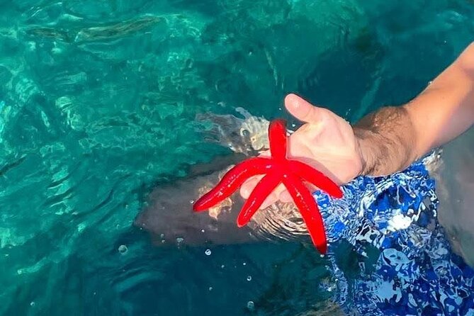 Boat tour Giardini Naxos Taormina Isola Bella Blue Grotto - Isola Bella: why the history of a tiny island matters on your boat ride