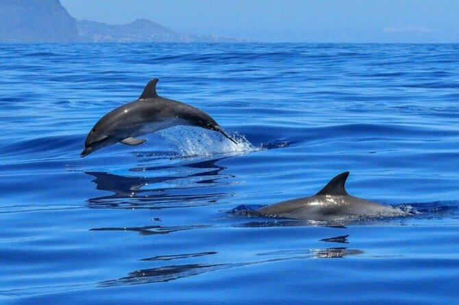 Boat tour Giardini Naxos Taormina Isola Bella Blue Grotto - Swimming time: the part you’ll remember (so pack like it)