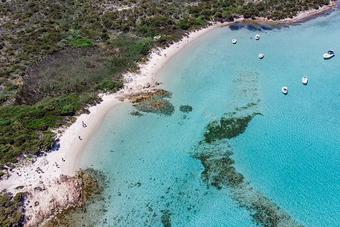 Boat trip La Maddalena Archipelago - Departure from Palau - Group Size and Crowds: When 170 People Matter