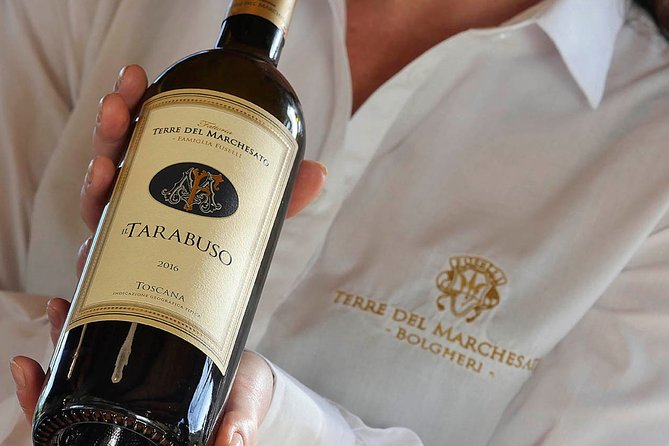 Bolgheri: Classic Wine Tasting with Winery Tour - Key Points Worth Your Time
